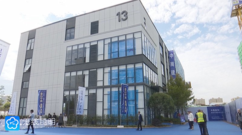 案例解读：我国集成电路产业的发展与挑战